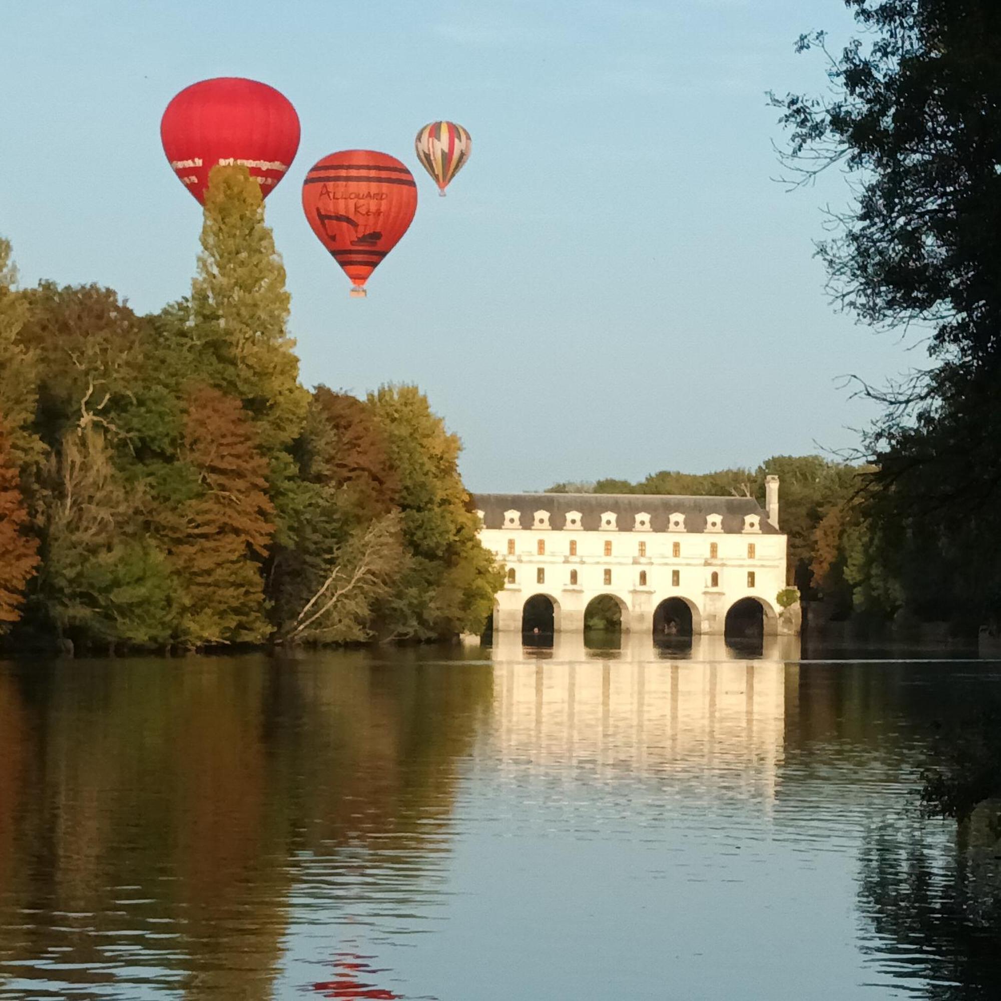 Au Nom Des Dames, Maison Et Table D'Hotes, Pres De Chenonceau Et Du Zoo De Beauval Faverolles-sur-Cher Zewnętrze zdjęcie