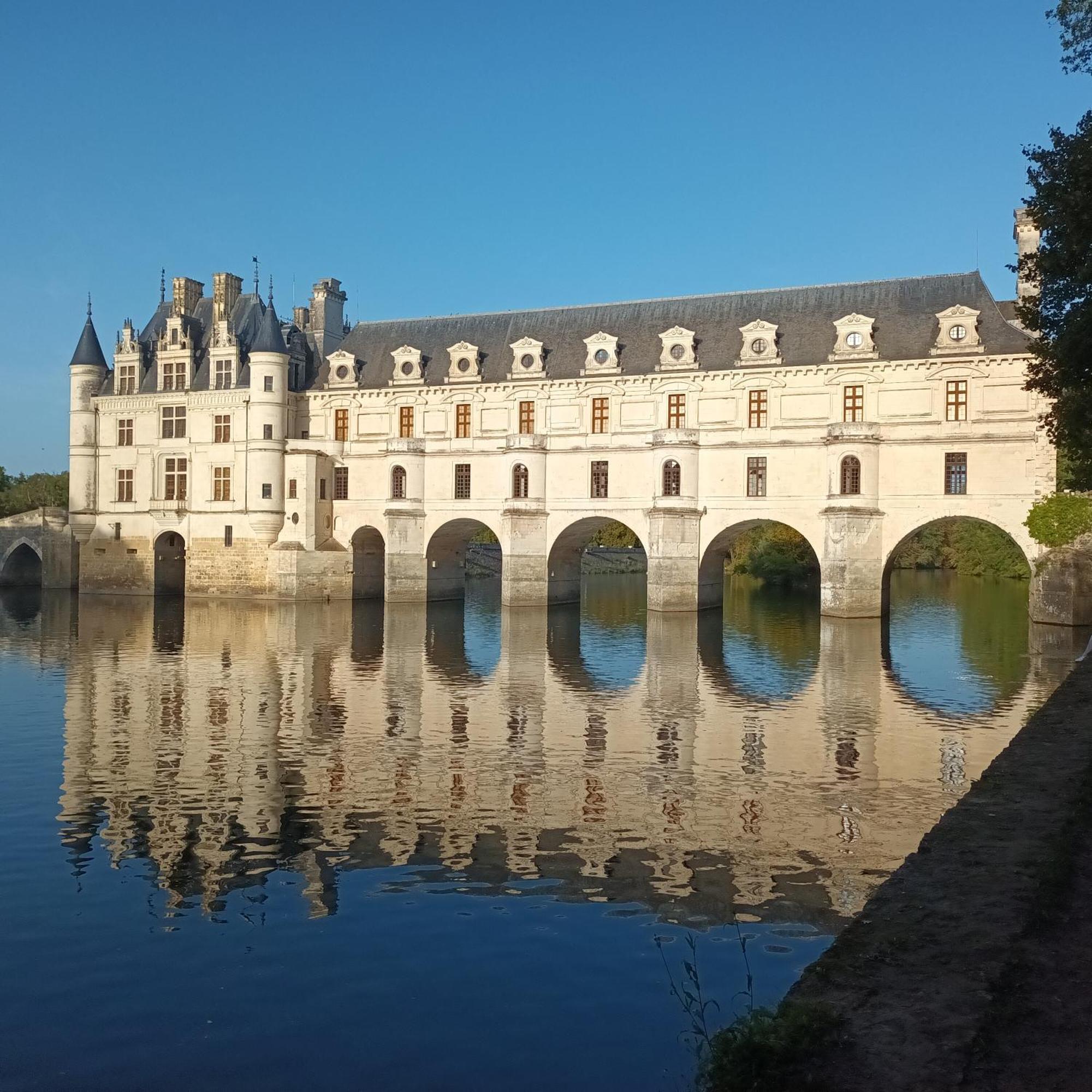 Au Nom Des Dames, Maison Et Table D'Hotes, Pres De Chenonceau Et Du Zoo De Beauval Faverolles-sur-Cher Zewnętrze zdjęcie